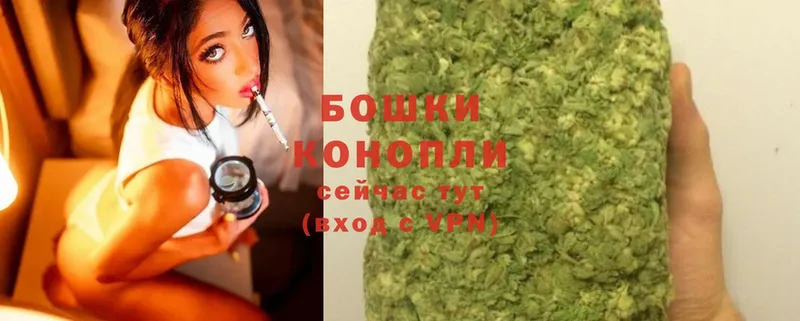 Бошки Шишки THC 21%  Камышин 